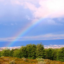 Punta Arenas seen from our sleeping place